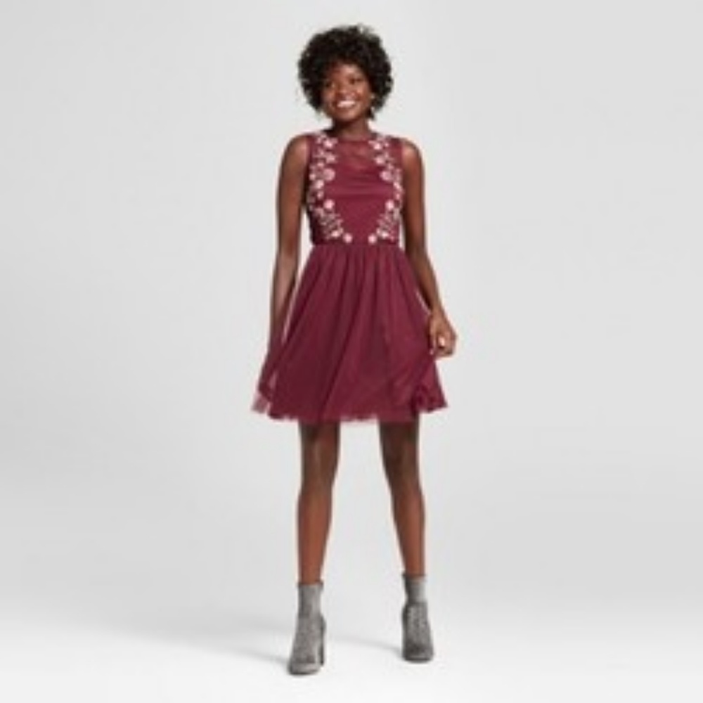 Embroidered Mesh Fit & Flare Dress